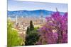 View of City Center of Florence, Firenze, UNESCO, Tuscany, Italy-Nico Tondini-Mounted Photographic Print