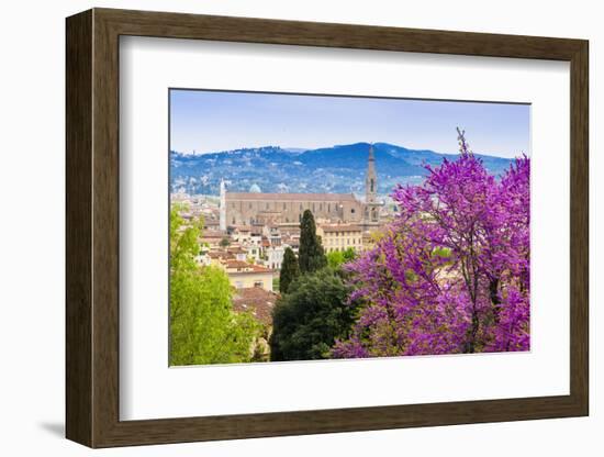 View of City Center of Florence, Firenze, UNESCO, Tuscany, Italy-Nico Tondini-Framed Photographic Print