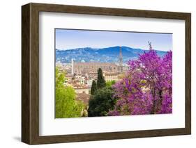 View of City Center of Florence, Firenze, UNESCO, Tuscany, Italy-Nico Tondini-Framed Photographic Print