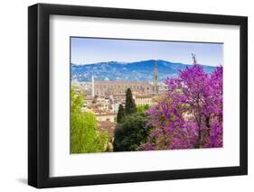 View of City Center of Florence, Firenze, UNESCO, Tuscany, Italy-Nico Tondini-Framed Photographic Print
