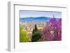 View of City Center of Florence, Firenze, UNESCO, Tuscany, Italy-Nico Tondini-Framed Photographic Print