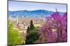 View of City Center of Florence, Firenze, UNESCO, Tuscany, Italy-Nico Tondini-Mounted Photographic Print