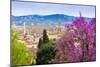 View of City Center of Florence, Firenze, UNESCO, Tuscany, Italy-Nico Tondini-Mounted Photographic Print