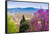 View of City Center of Florence, Firenze, UNESCO, Tuscany, Italy-Nico Tondini-Framed Stretched Canvas