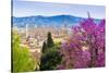 View of City Center of Florence, Firenze, UNESCO, Tuscany, Italy-Nico Tondini-Stretched Canvas