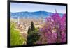 View of City Center of Florence, Firenze, UNESCO, Tuscany, Italy-Nico Tondini-Framed Photographic Print