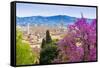 View of City Center of Florence, Firenze, UNESCO, Tuscany, Italy-Nico Tondini-Framed Stretched Canvas