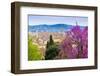 View of City Center of Florence, Firenze, UNESCO, Tuscany, Italy-Nico Tondini-Framed Premium Photographic Print