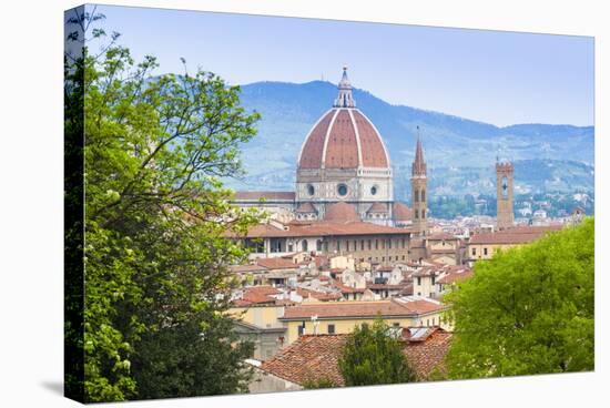 View of City Center of Florence (Firenze), UNESCO World Heritage Site, Tuscany, Italy, Europe-Nico Tondini-Stretched Canvas