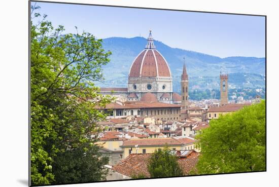 View of City Center of Florence (Firenze), UNESCO World Heritage Site, Tuscany, Italy, Europe-Nico Tondini-Mounted Photographic Print