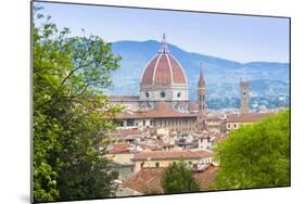 View of City Center of Florence (Firenze), UNESCO World Heritage Site, Tuscany, Italy, Europe-Nico Tondini-Mounted Photographic Print