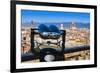 View of City Center of Florence, Florence (Firenze), Tuscany, Italy, Europe-Nico Tondini-Framed Photographic Print