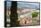 View of City Center of Florence, River Arno, Florence (Firenze), Tuscany, Italy, Europe-Nico Tondini-Framed Stretched Canvas