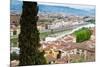 View of City Center of Florence, River Arno, Florence (Firenze), Tuscany, Italy, Europe-Nico Tondini-Mounted Photographic Print