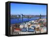 View of City from St; Peter's Church, Riga, Latvia-Ivan Vdovin-Framed Stretched Canvas