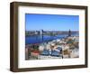 View of City from St; Peter's Church, Riga, Latvia-Ivan Vdovin-Framed Photographic Print