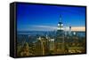View of city - Manhattan - New York City - United States-Philippe Hugonnard-Framed Stretched Canvas