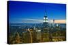 View of city - Manhattan - New York City - United States-Philippe Hugonnard-Stretched Canvas