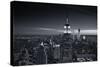 View of city - Manhattan - New York City - United States-Philippe Hugonnard-Stretched Canvas
