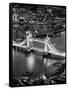 View of City of London with the Tower Bridge at Night - London - UK - England - United Kingdom-Philippe Hugonnard-Framed Stretched Canvas