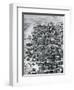 View of City of Timbuktu, Mali, Engraving from Travels Through Central Africa to Timbuctoo-Rene Caillie-Framed Giclee Print