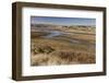 View of coastal saltmarsh habitat, Drakes Estero (Drake's Estuary), Point Reyes Peninsula-Bob Gibbons-Framed Photographic Print