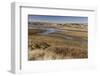 View of coastal saltmarsh habitat, Drakes Estero (Drake's Estuary), Point Reyes Peninsula-Bob Gibbons-Framed Photographic Print