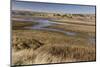 View of coastal saltmarsh habitat, Drakes Estero (Drake's Estuary), Point Reyes Peninsula-Bob Gibbons-Mounted Photographic Print