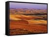 View of Colorful Palouse Farm Country at Twilight, Washington, USA-Dennis Flaherty-Framed Stretched Canvas