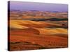 View of Colorful Palouse Farm Country at Twilight, Washington, USA-Dennis Flaherty-Stretched Canvas