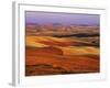 View of Colorful Palouse Farm Country at Twilight, Washington, USA-Dennis Flaherty-Framed Photographic Print