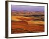 View of Colorful Palouse Farm Country at Twilight, Washington, USA-Dennis Flaherty-Framed Photographic Print