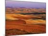 View of Colorful Palouse Farm Country at Twilight, Washington, USA-Dennis Flaherty-Mounted Photographic Print