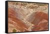 View of colourful 'badlands' habitat, Burr Road, Grand Staircase-Escalante National Monument, Utah-Bob Gibbons-Framed Stretched Canvas