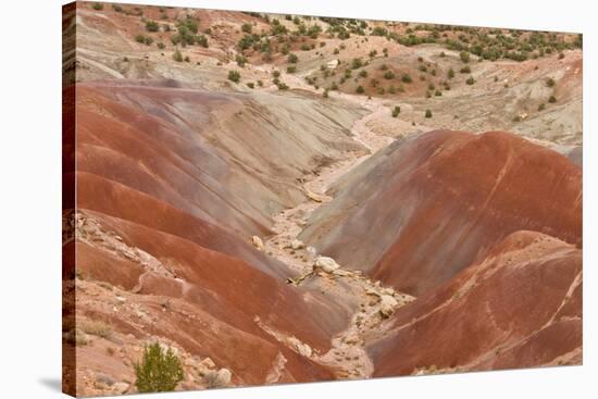 View of colourful 'badlands' habitat, Burr Road, Grand Staircase-Escalante National Monument, Utah-Bob Gibbons-Stretched Canvas