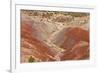 View of colourful 'badlands' habitat, Burr Road, Grand Staircase-Escalante National Monument, Utah-Bob Gibbons-Framed Photographic Print