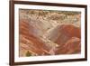 View of colourful 'badlands' habitat, Burr Road, Grand Staircase-Escalante National Monument, Utah-Bob Gibbons-Framed Photographic Print