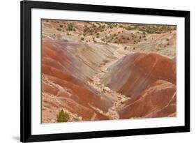 View of colourful 'badlands' habitat, Burr Road, Grand Staircase-Escalante National Monument, Utah-Bob Gibbons-Framed Photographic Print