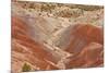 View of colourful 'badlands' habitat, Burr Road, Grand Staircase-Escalante National Monument, Utah-Bob Gibbons-Mounted Photographic Print