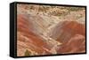 View of colourful 'badlands' habitat, Burr Road, Grand Staircase-Escalante National Monument, Utah-Bob Gibbons-Framed Stretched Canvas