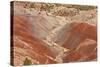 View of colourful 'badlands' habitat, Burr Road, Grand Staircase-Escalante National Monument, Utah-Bob Gibbons-Stretched Canvas