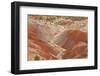 View of colourful 'badlands' habitat, Burr Road, Grand Staircase-Escalante National Monument, Utah-Bob Gibbons-Framed Photographic Print