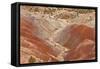 View of colourful 'badlands' habitat, Burr Road, Grand Staircase-Escalante National Monument, Utah-Bob Gibbons-Framed Stretched Canvas