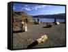 View of Columbia River, Ginkgo Petrified Forest State Park, Vantage, Washington, USA-Jamie & Judy Wild-Framed Stretched Canvas