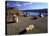 View of Columbia River, Ginkgo Petrified Forest State Park, Vantage, Washington, USA-Jamie & Judy Wild-Stretched Canvas