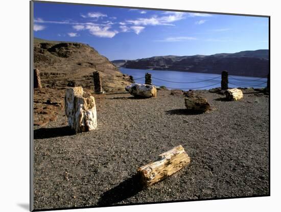 View of Columbia River, Ginkgo Petrified Forest State Park, Vantage, Washington, USA-Jamie & Judy Wild-Mounted Premium Photographic Print