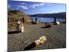View of Columbia River, Ginkgo Petrified Forest State Park, Vantage, Washington, USA-Jamie & Judy Wild-Mounted Photographic Print