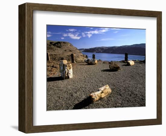 View of Columbia River, Ginkgo Petrified Forest State Park, Vantage, Washington, USA-Jamie & Judy Wild-Framed Photographic Print