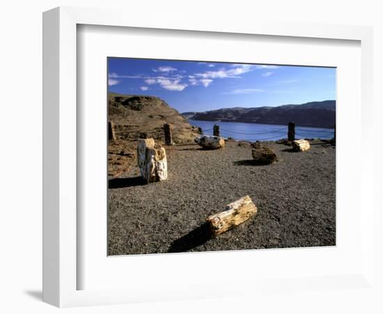 View of Columbia River, Ginkgo Petrified Forest State Park, Vantage, Washington, USA-Jamie & Judy Wild-Framed Photographic Print