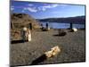 View of Columbia River, Ginkgo Petrified Forest State Park, Vantage, Washington, USA-Jamie & Judy Wild-Mounted Photographic Print